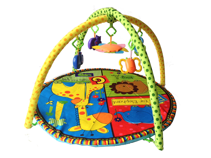 Baby Play Mat