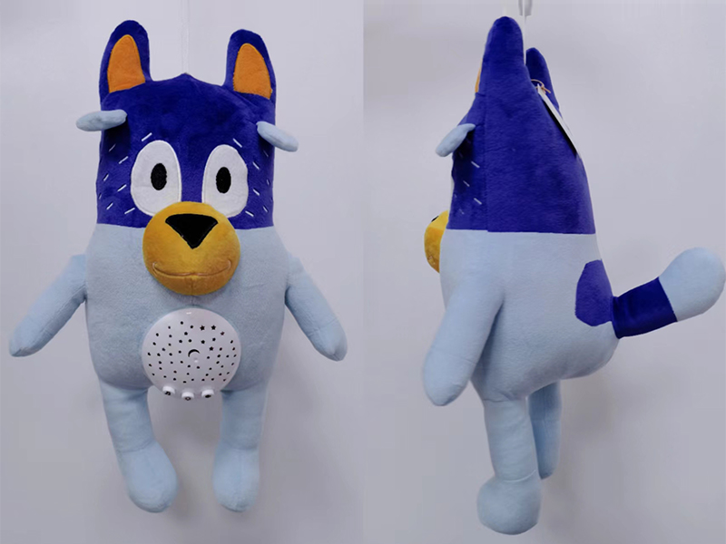 Starry Sky Projection