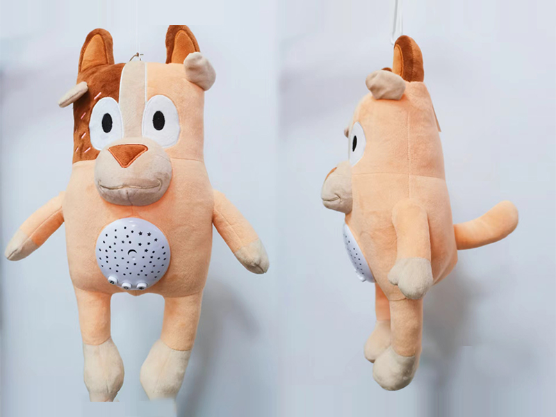 Starry Sky Projection