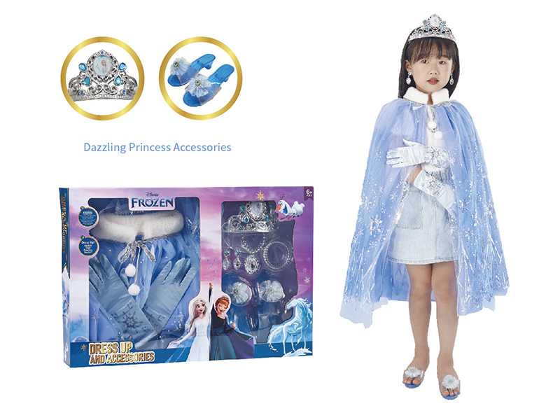 Disney Frozen Princess Dress Up Clothes Series