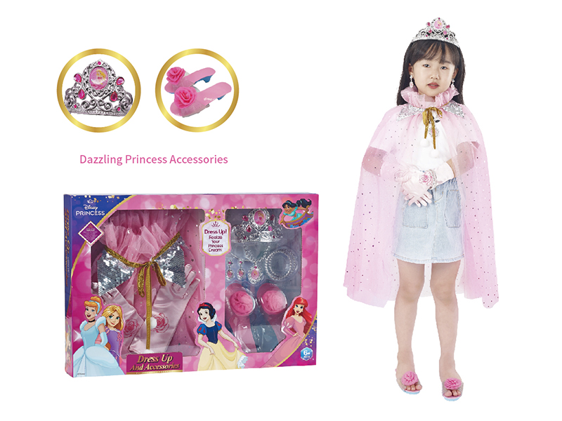 Disney Princess Aurora Dress Up Clothes Series