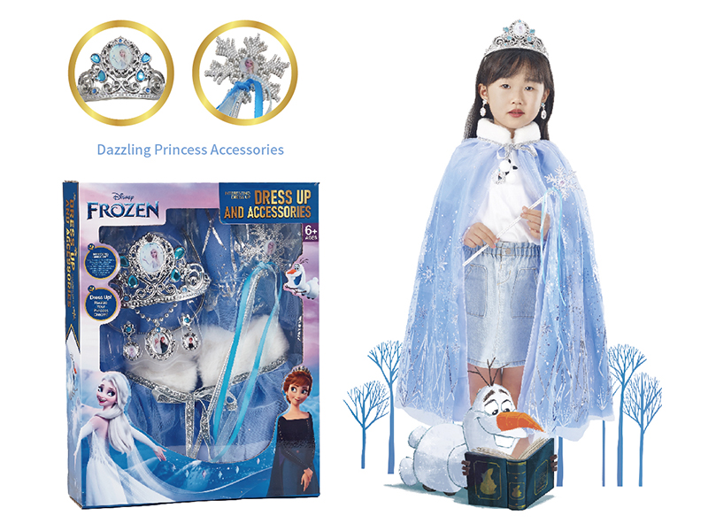 Disney Frozen Princess Dress Up Clothes Series