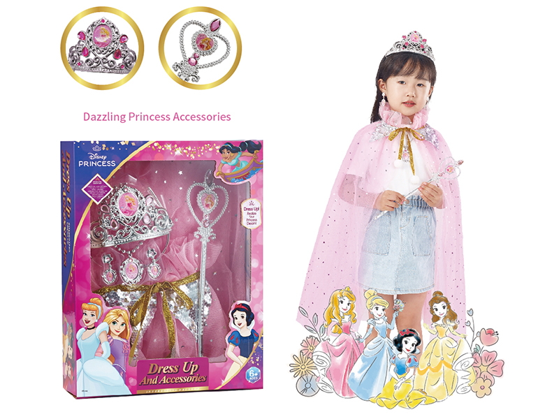 Disney Princess Aurora Dress Up Clothes Series