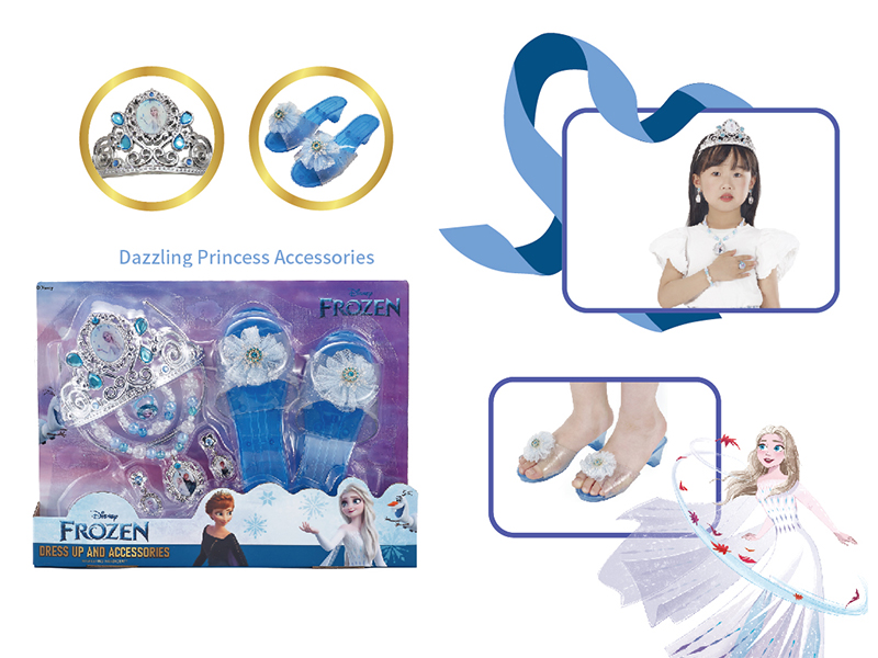 Disney Frozen Princess Dress Up Series