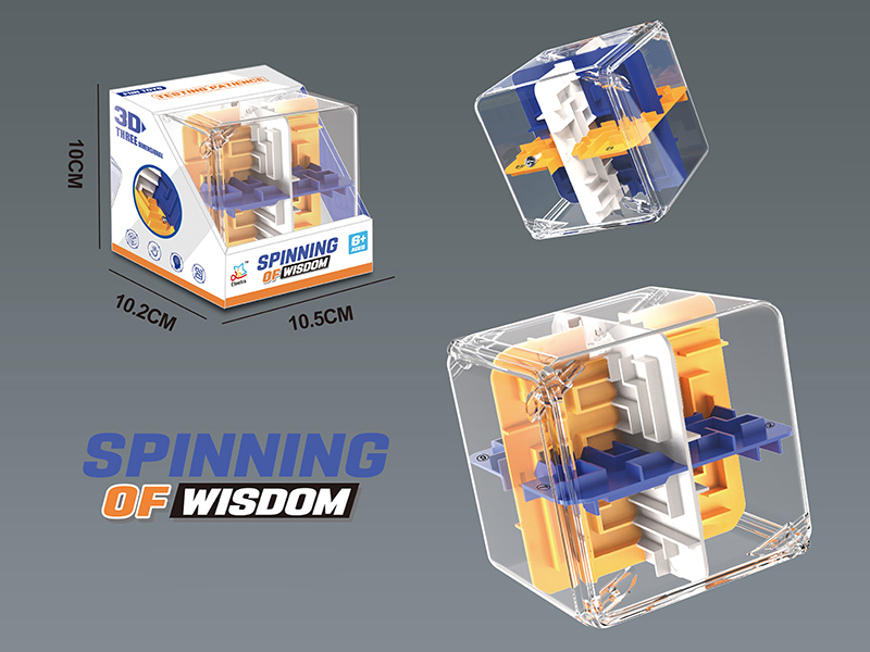 24-Sided Solid Color 3D Maze