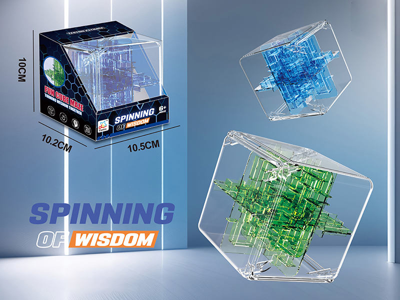 24-Sided Transparent 3D Maze(2 Colors)