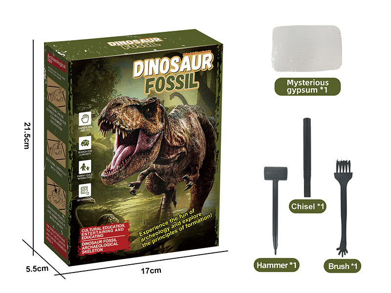 Archaeological Excavation Series - Dinosaur Fossil