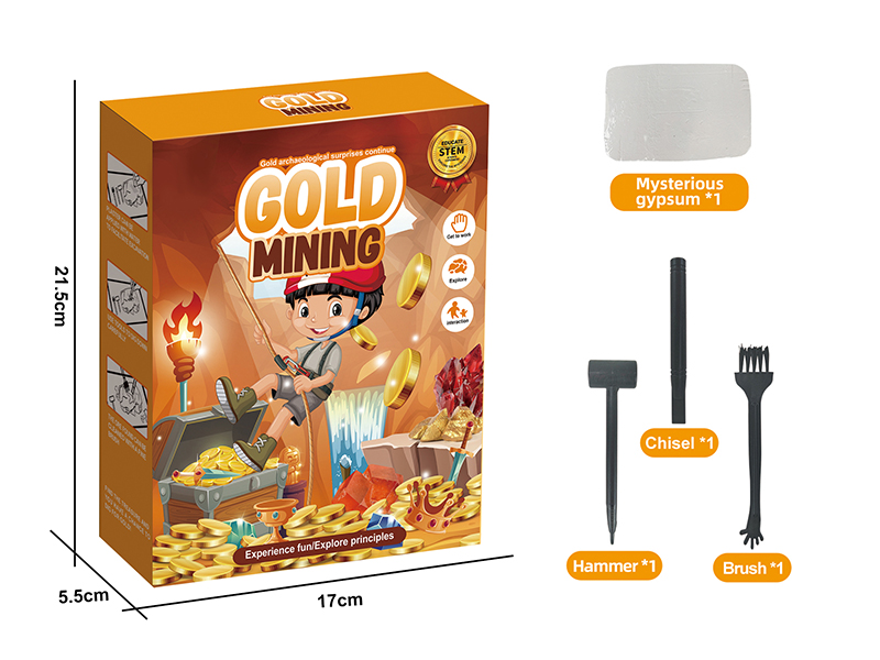 Archaeological Excavation Series - Gold Mining