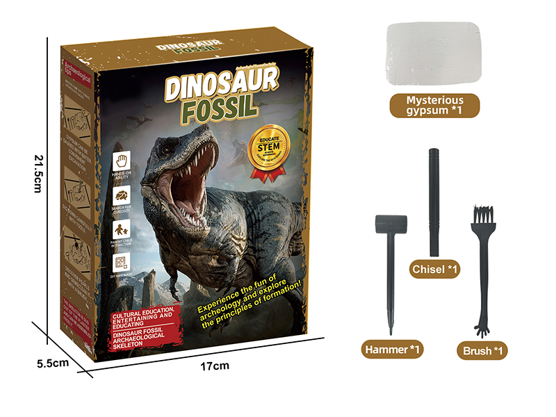 Archaeological Excavation Series - Dinosaur Fossil