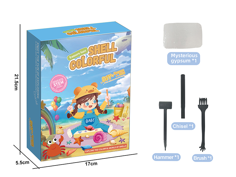 Archaeological Excavation Series - Colorful Shell