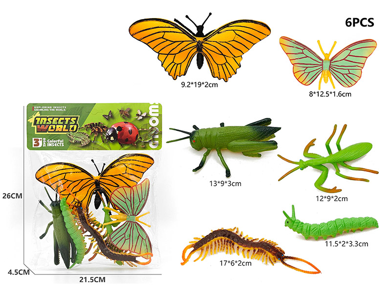 6PCS Insect Model Set