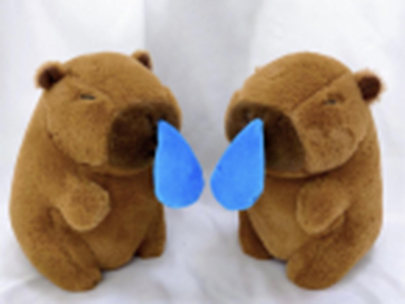 8" Capybara Plush Toy