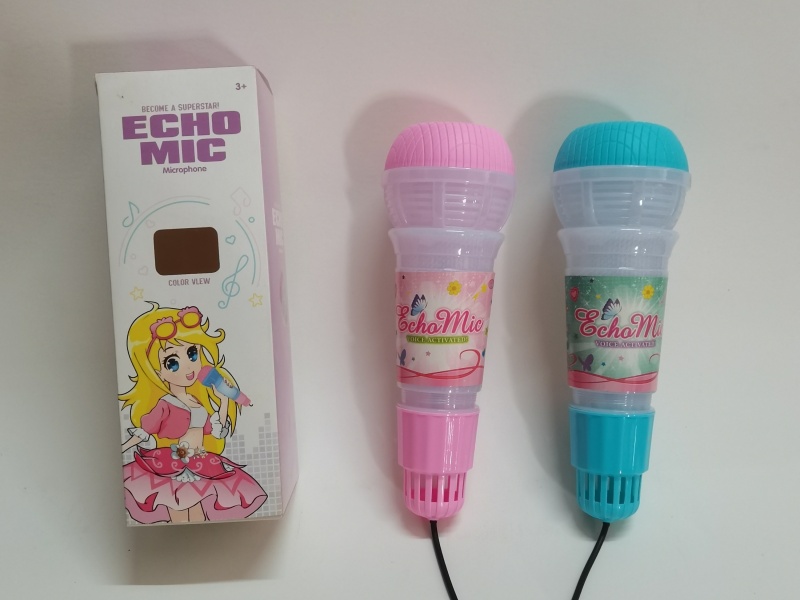 Echo Microphone
