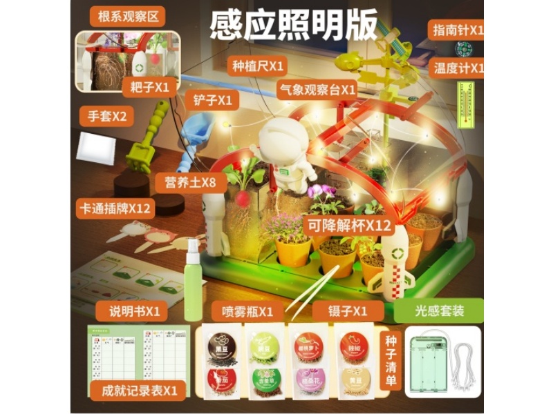 Sunroom Planting Kit - Light Sensing Lighting Version