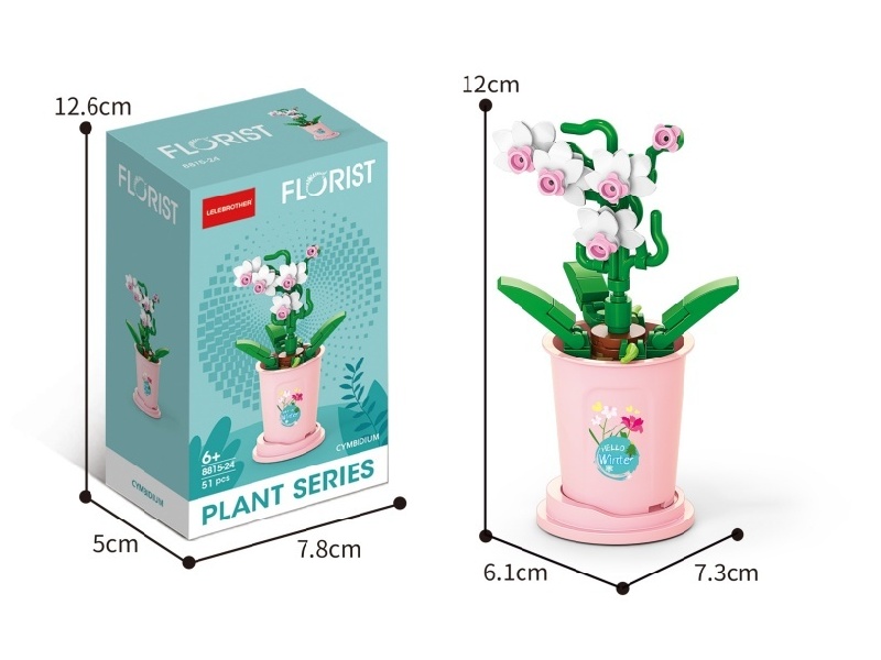 51 Pcs Of Dahan Orchid