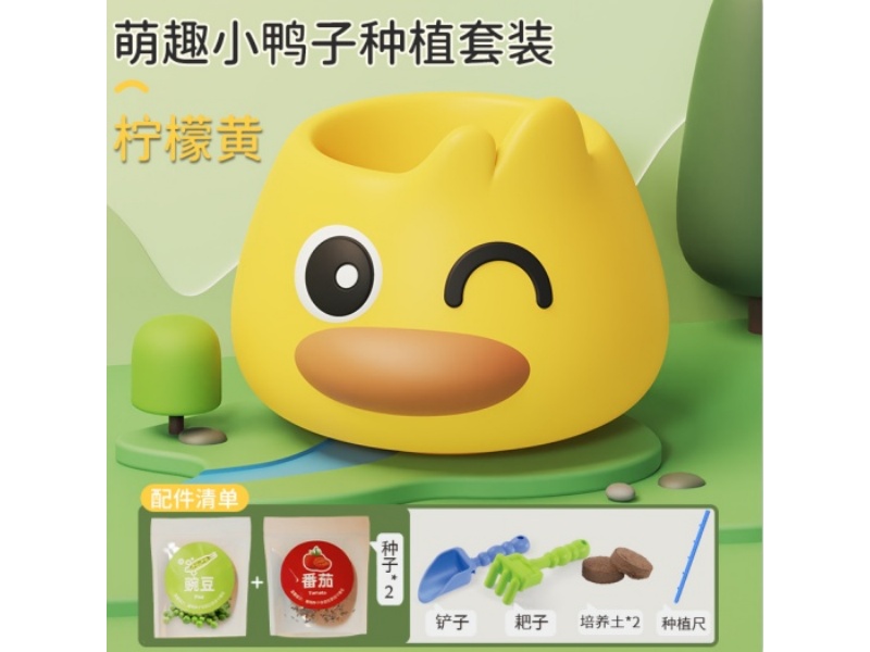 Duck Flowerpot Planting Set