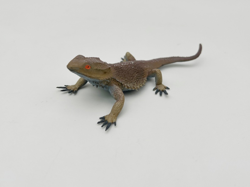 Lizard Model