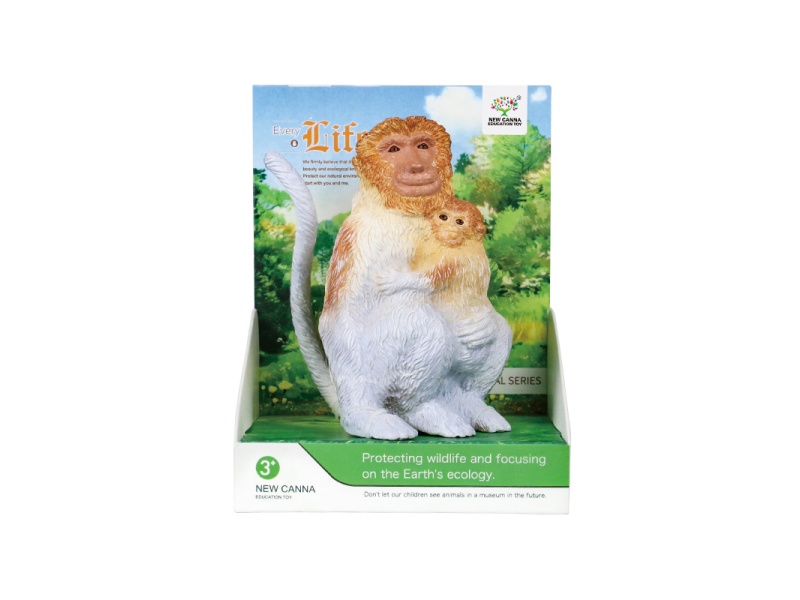 Mother And Child Proboscis Monkeys