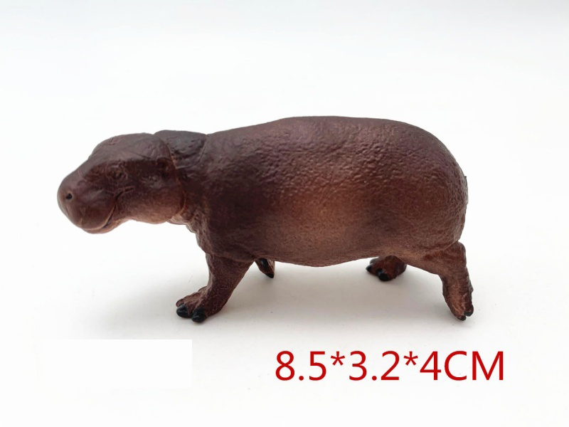Little Hippopotamus