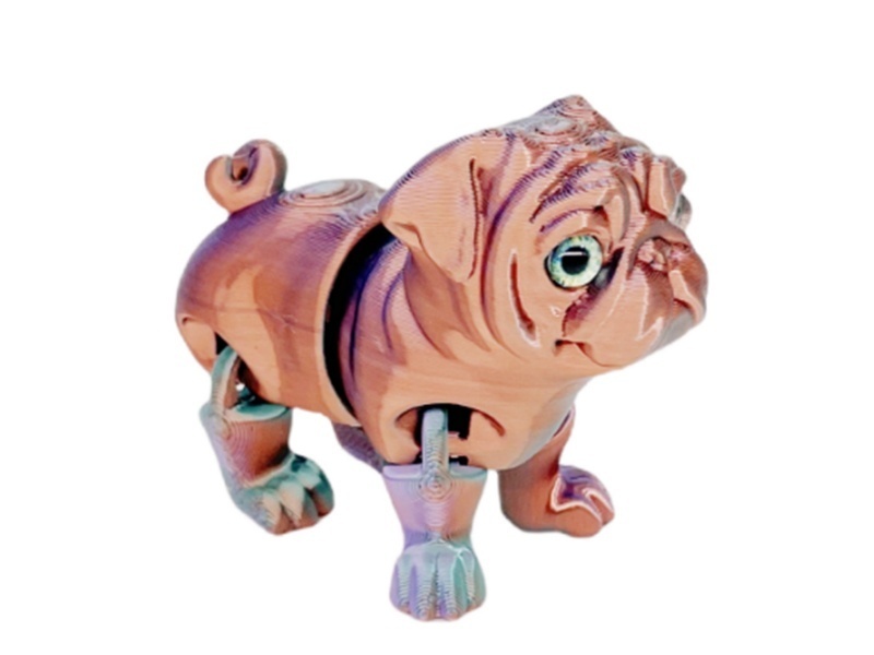 The Pug Is 7Cm Close To The Glass Eye