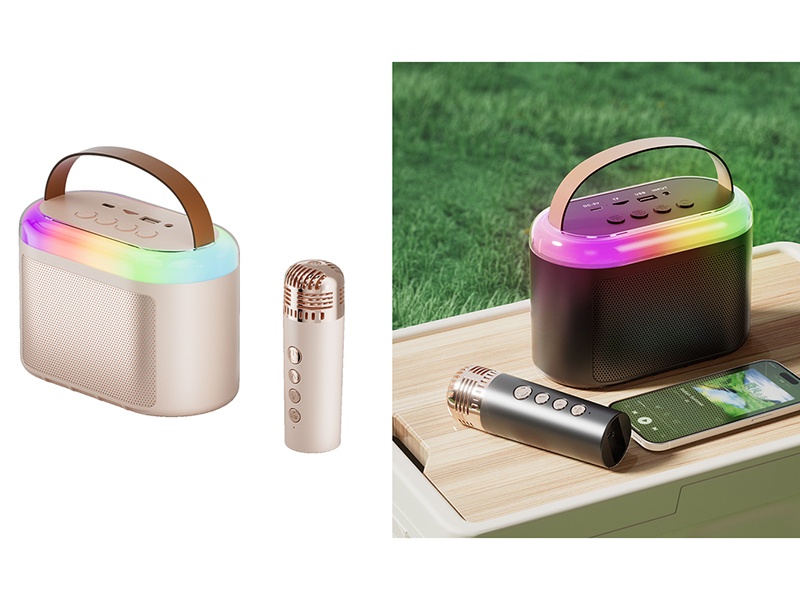 Wireless Bluetooth Karaoke Speaker With Lights(Single Microphone)