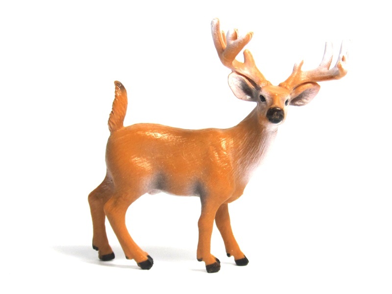 Male White-Tailed Deer (Smooth)