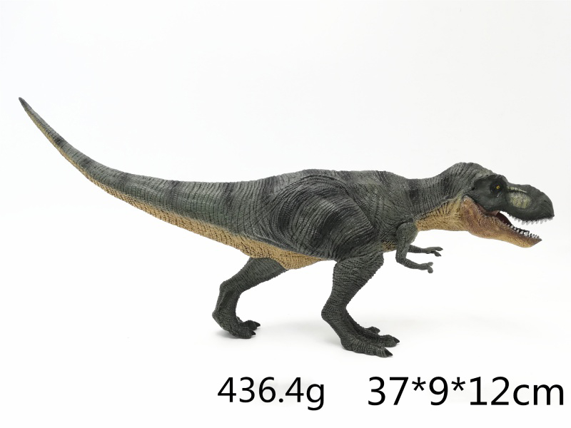 New Tyrannosaurus Rex