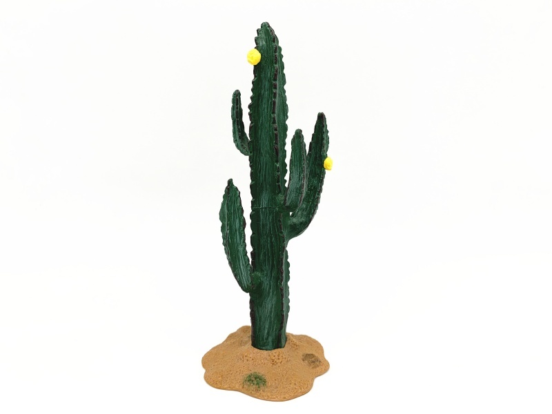 Cactus Model