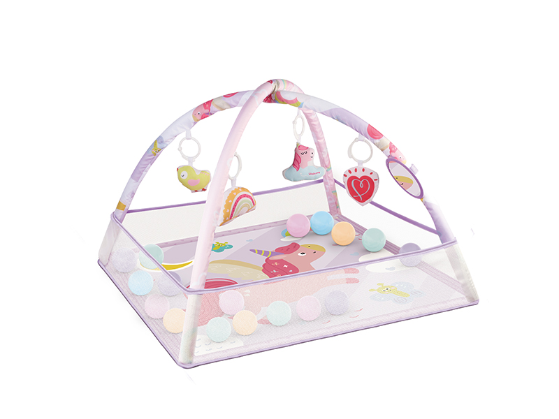 Baby Fitness Blanket - Pony(With 18 Ocean Balls)