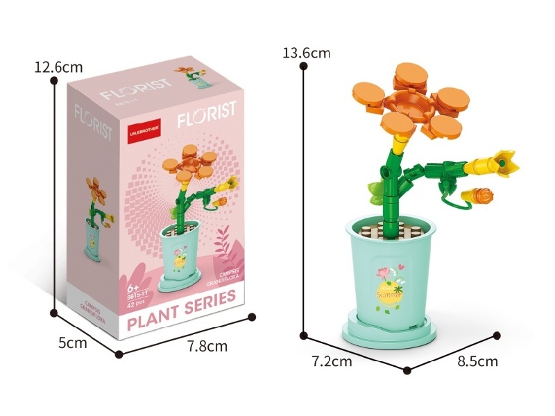 42 Pcs Of Xiaoshu Cypress Flower