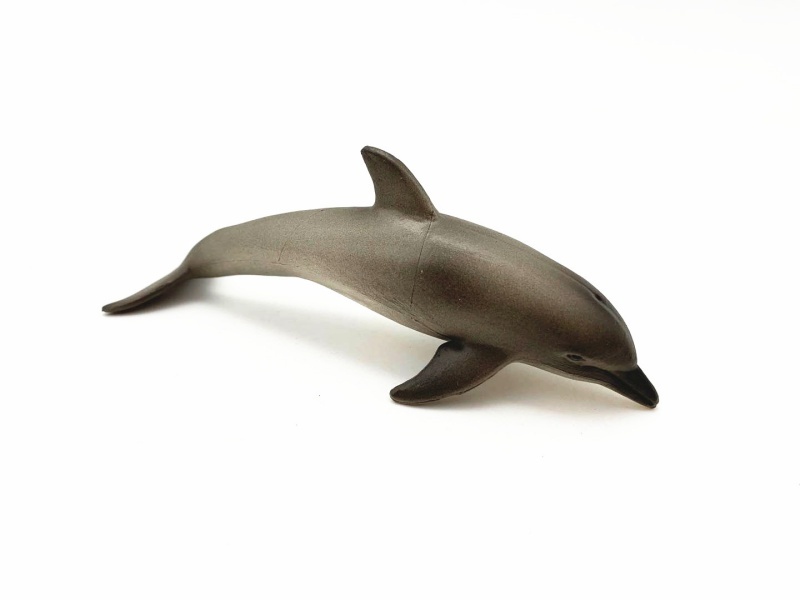 Little Dolphin
