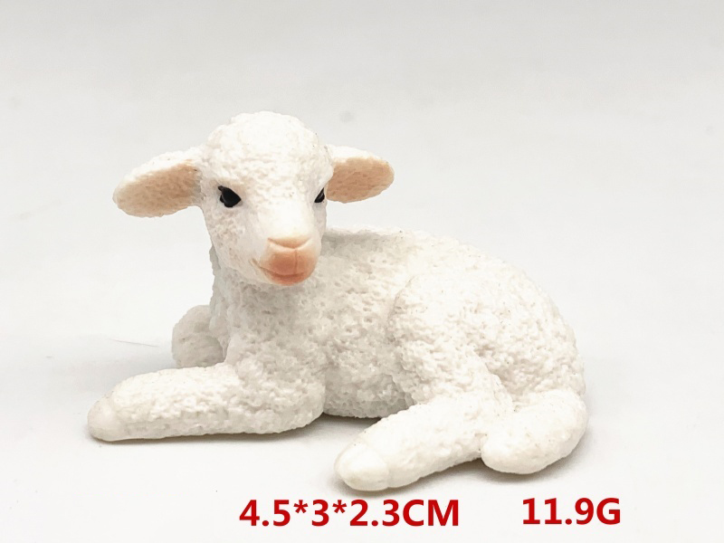 Merino Lamb