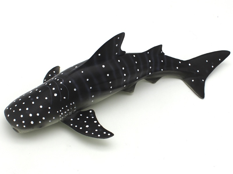 Whale Shark
