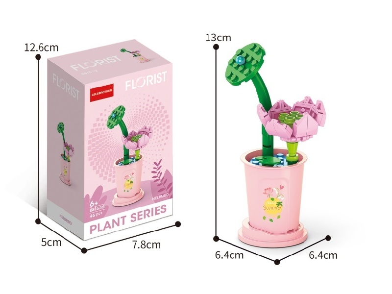 46 Pcs Of Lotus Flowers During The Major Heat Period