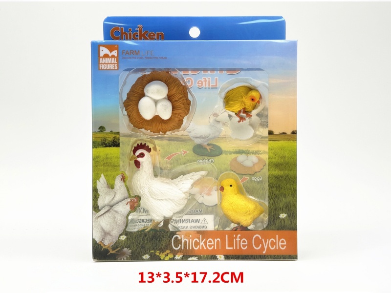 Chicken Life Cycle Model