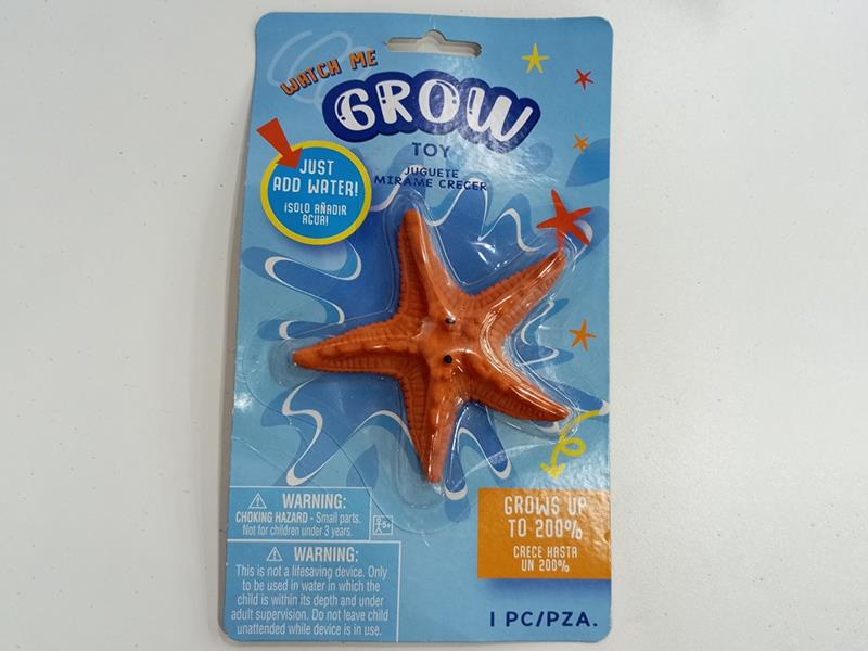 Grow Toy - Starfish