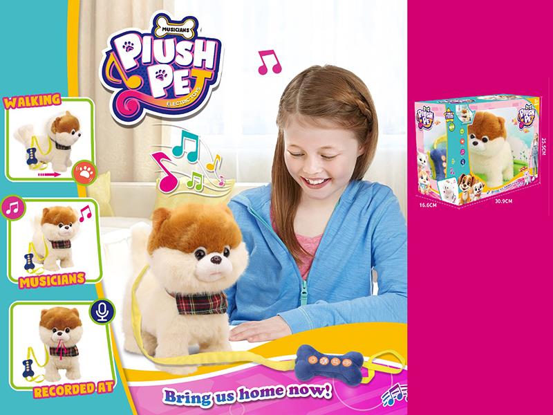 Multifunctional B/O Leash Dog