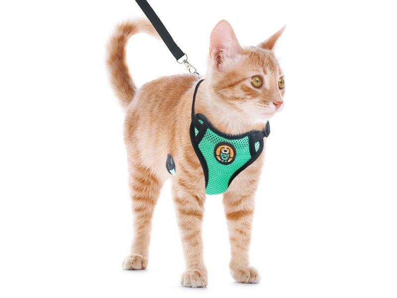 Cat Harness M