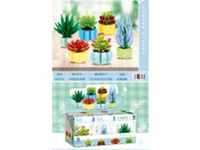 Building Block Succulent Plants