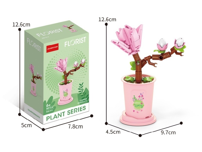 54 Pcs Of Spring Equinox Magnolia