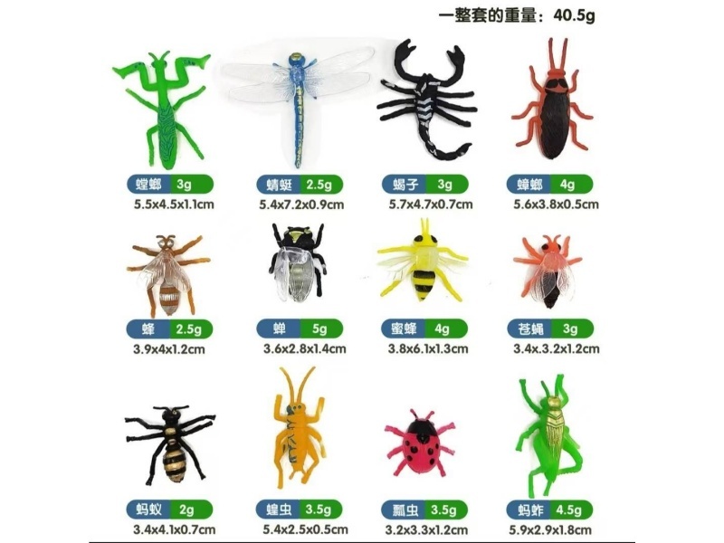 Insect Set 12 Pcs