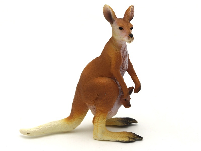 Female Kangaroo
