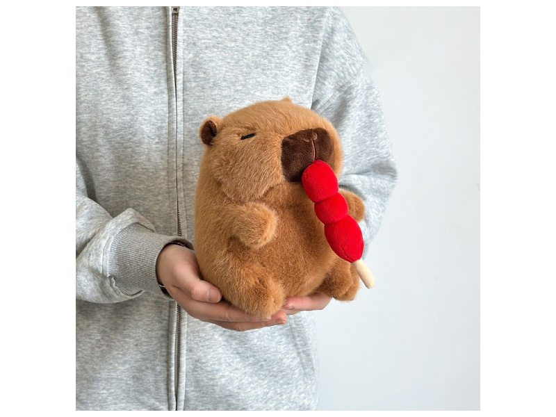 Sugar-Coated Haws With Pork