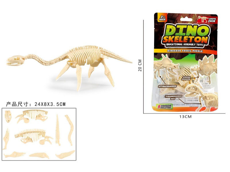 Assemble The Plesiosaur Skeleton