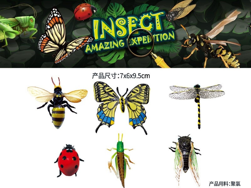 Simulation Insect Set Animal Model