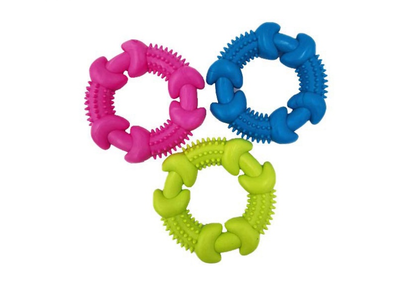 Spiny Ring Bone Pet Toy