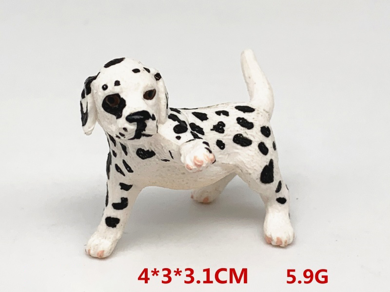 Playing With Dalmatian