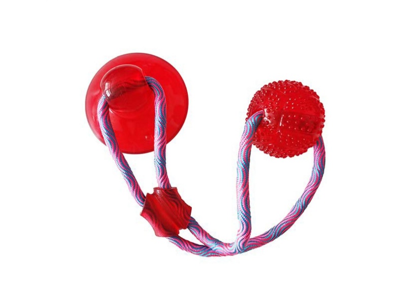 Suction Cup Pet Toys