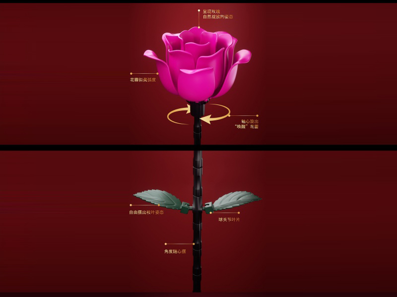 Building Blocks: Gentle Forbidden Zone