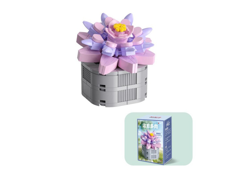 105 Pcs Of Small Succulents - Luna